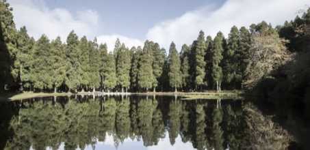 Hike through the Black Mysteries - Terceira Island