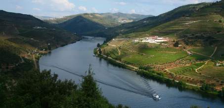 Private boat trip on the Douro