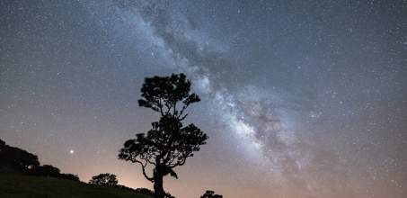 Private Stargazing at Observatorio do Lago Alqueva
