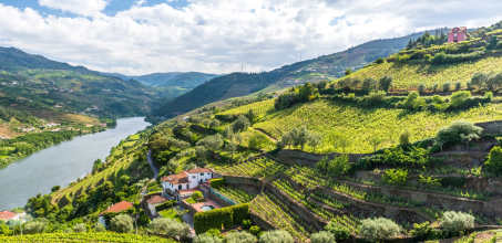 Private Visit to Quinta do Bomfim