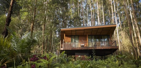 One&Only Gorilla's Nest