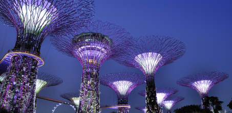 City Tour and Gardens By the Bay