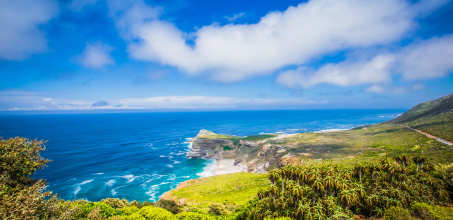 Cape Peninsula - Family