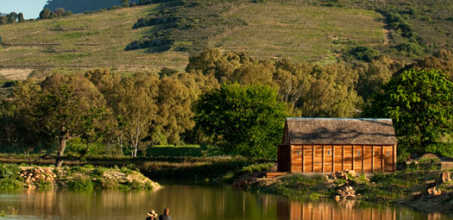 Out and about at Babylonstoren