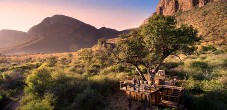Thabametsi Treehouse Sleepout