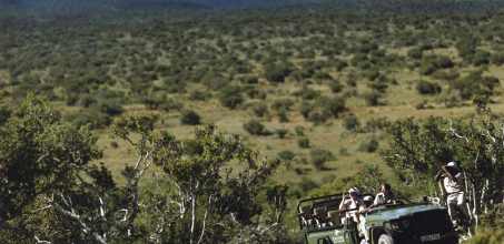 Twice Daily Game Drives
