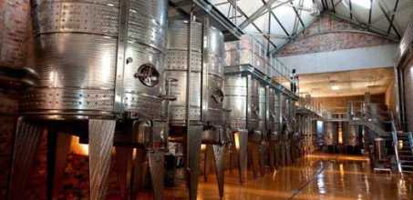 Wine at Babylonstoren