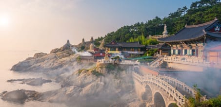 Full Day Tour of Busan