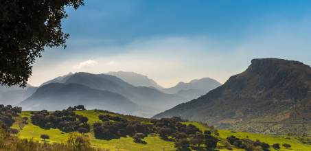 Nature walks at La Donaira