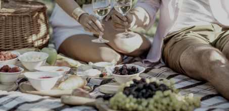 Picnic in the vineyards of Rioja