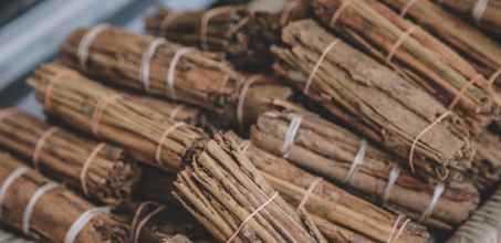 Visit a Cinnamon Plantation