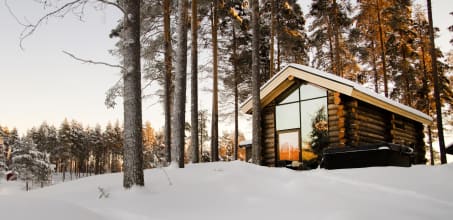 Arctic Retreat
