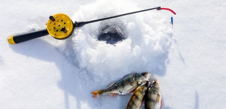 Ice fishing at the Treehotel