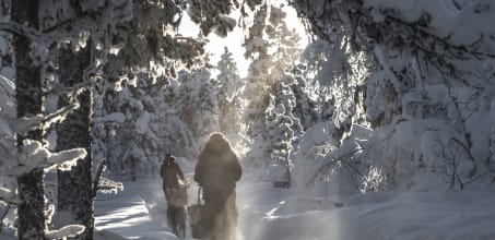 Saivo Package at Fjellborg Arctic Lodge - 4 days/3 nights