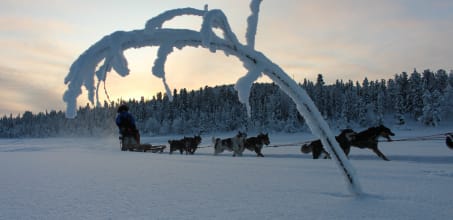 Vuolus Package at Fjellborg Arctic Lodge - 5 days/4 nights