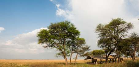 Serengeti Safari Camp
