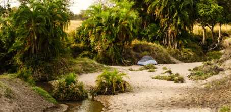 Wayo Walking Fly Camp