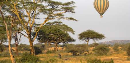 Hot air ballooning over the Serengeti