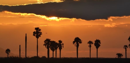Sunsets over the Rufiji