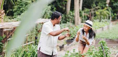 Six Senses Samui Garden-to-Fork Experience