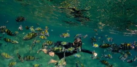 Snorkelling at Koh Waeo