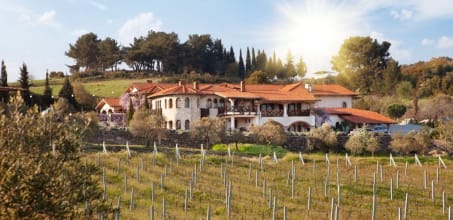 Vinifera Vineyard Hotel