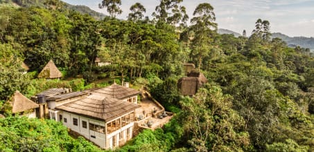 Volcanoes Bwindi Lodge