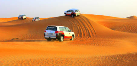 Desert Safari with BBQ Dinner
