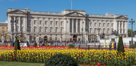 London Walking Tour - Guided (1/2 day)