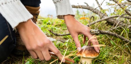 Sea Kayaking and Foraging