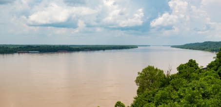 Mississippi River Eco Safari Natchez