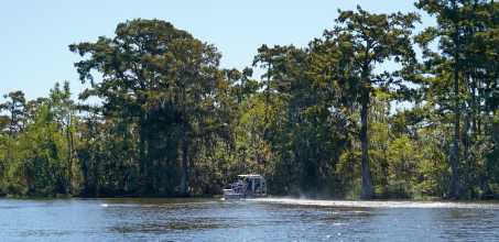 VIP Swamp Airboat Tour New Orleans
