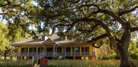 Private Plantation History Tour New Orleans