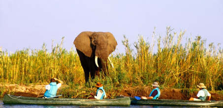 Canoeing on the Zambezi River