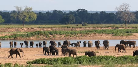 Chilo Gorge Tented Camp