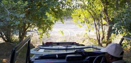 Game Drives in Hwange National Park