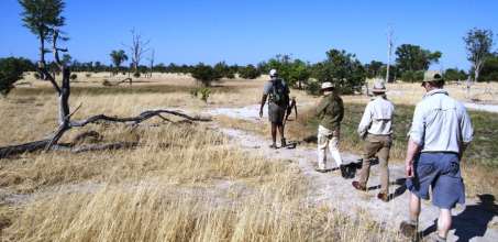 Walking Safari