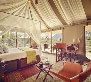 Luxury Tent - Diskit, Nubra Valley