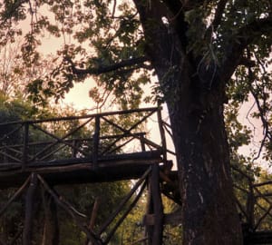 Exterior - Treehouse Hideaway