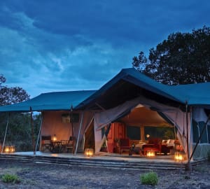 Tent Exterior - Kicheche Laikipia