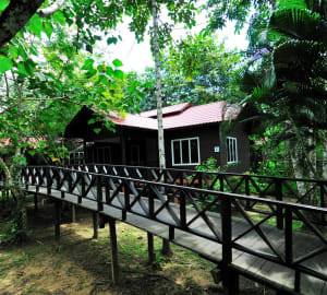 Chalet - Kinabatangan Riverside Lodge