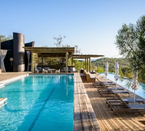 Pool - Singita Lebombo Lodge
