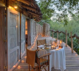 Treehouse - Lake Manyara Tree Lodge 