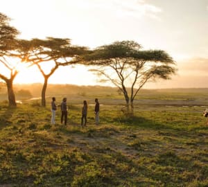 Sundowners - Serengeti Under Canvas