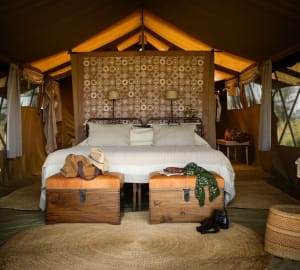 Safari Tent - 