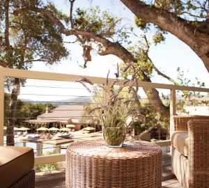 Relax in the sunshine  