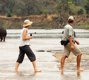 Crossing the Luangwa River 