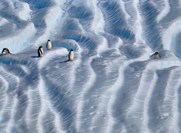 Extraordinary Antarctica: Cross the Polar Circle