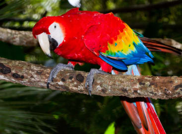Family Fun in Guatemala & Belize