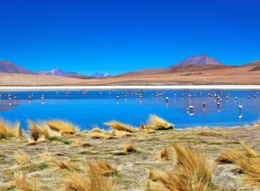 Ultimate Altiplanic Chile, Bolivia & Peru